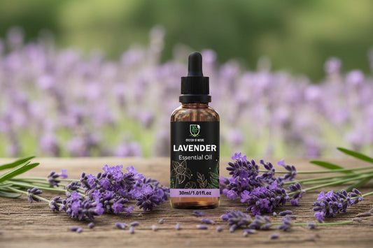 Lavender Essential Oil Benefits, Uses & Aromatherapy Guide | Mystery of Nature