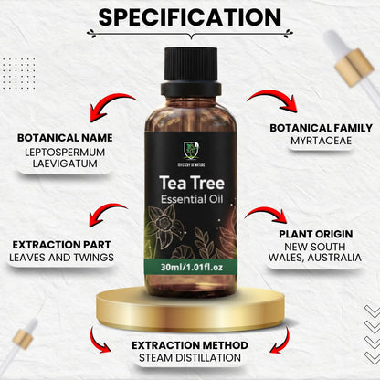 Tea Tree Essential Oil